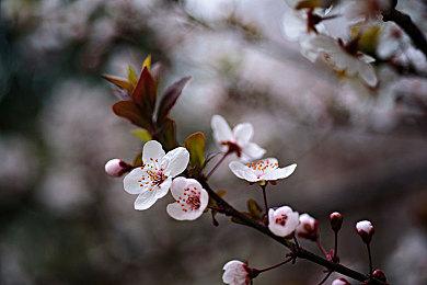 Steam新一周销量榜 Steam deck七连冠